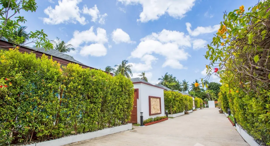 For sale 24 ベッドルーム hotel in Ko Samui, Surat Thani