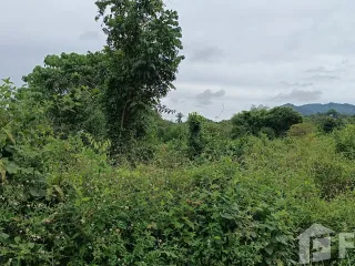 Grundstück zum Kauf in Ko Samui, Surat Thani