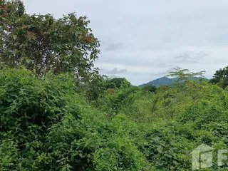Grundstück zum Kauf in Ko Samui, Surat Thani