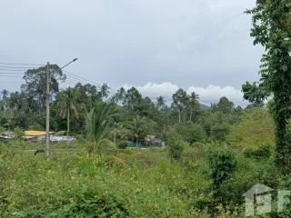Grundstück zum Kauf in Ko Samui, Surat Thani