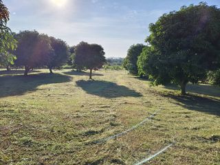 For sale land in Pran Buri, Prachuap Khiri Khan