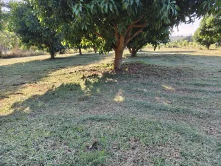 For sale land in Pran Buri, Prachuap Khiri Khan