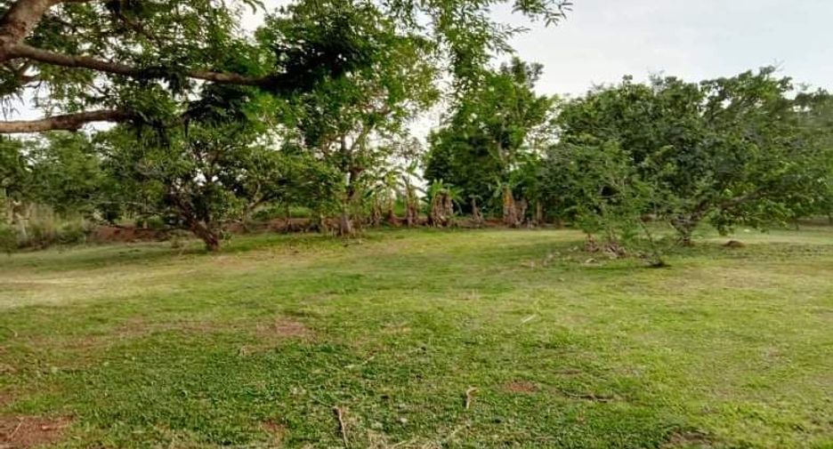 For sale 3 bedrooms house in Thoeng, Chiang Rai