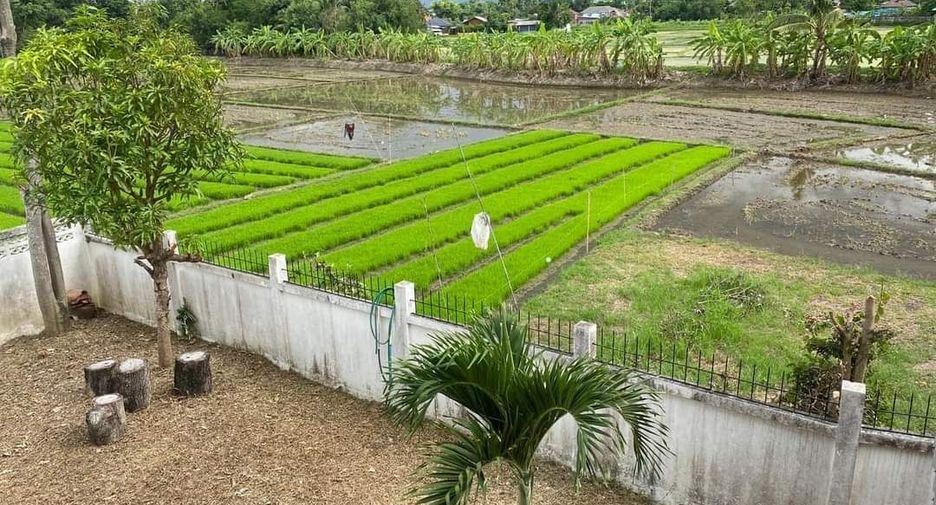 For sale 3 bedrooms house in Mae Rim, Chiang Mai