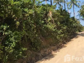 ขาย ที่ดิน ใน เกาะสมุย, สุราษฎร์ธานี