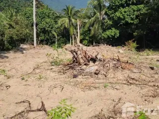 ขาย ที่ดิน ใน เกาะสมุย, สุราษฎร์ธานี