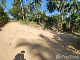 ขาย ที่ดิน ใน เกาะสมุย, สุราษฎร์ธานี