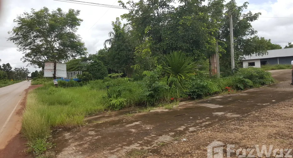For sale land in Si Songkhram, Nakhon Phanom