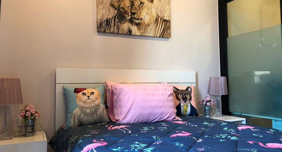 For rent 1 bed condo in Mueang Chiang Mai, Chiang Mai