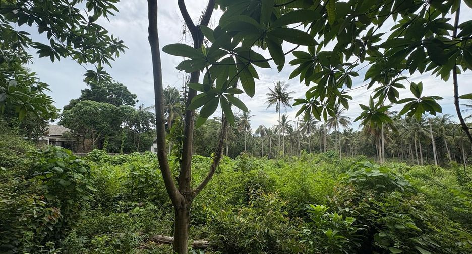 Terreno en venta en Ko Samui, Surat Thani