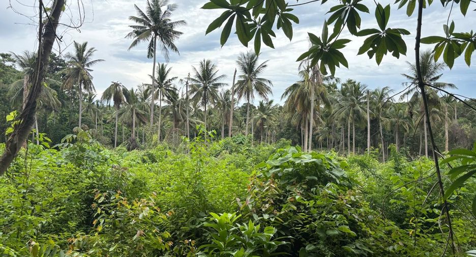 Terreno en venta en Ko Samui, Surat Thani