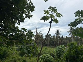 Terreno en venta en Ko Samui, Surat Thani