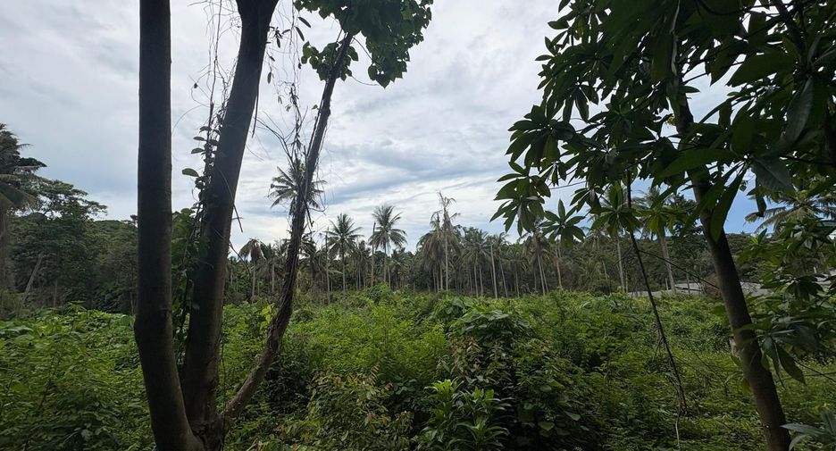 Terreno en venta en Ko Samui, Surat Thani