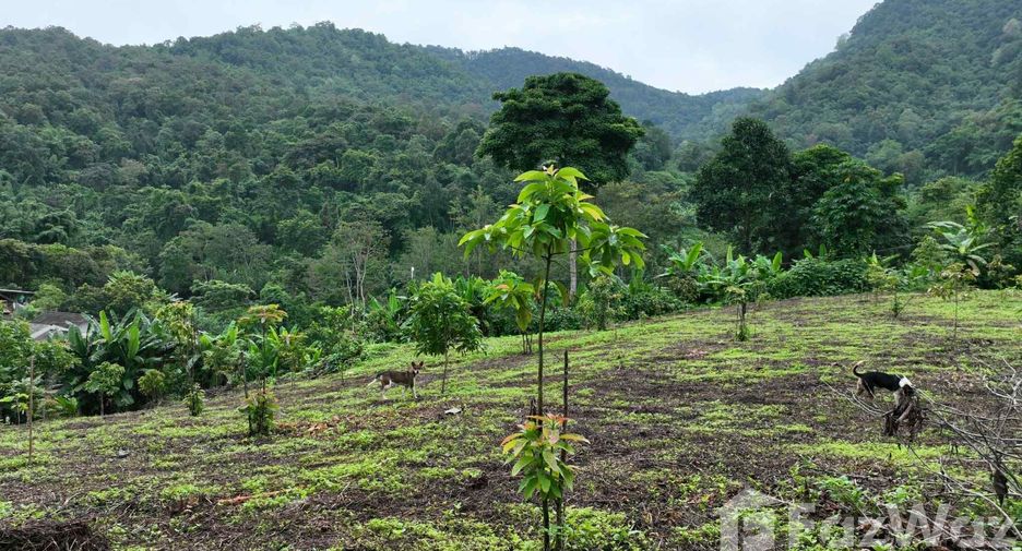 Terreno en venta en Hang Dong, Chiang Mai