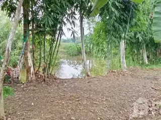 出售 土地 在 Tha Yang, Phetchaburi