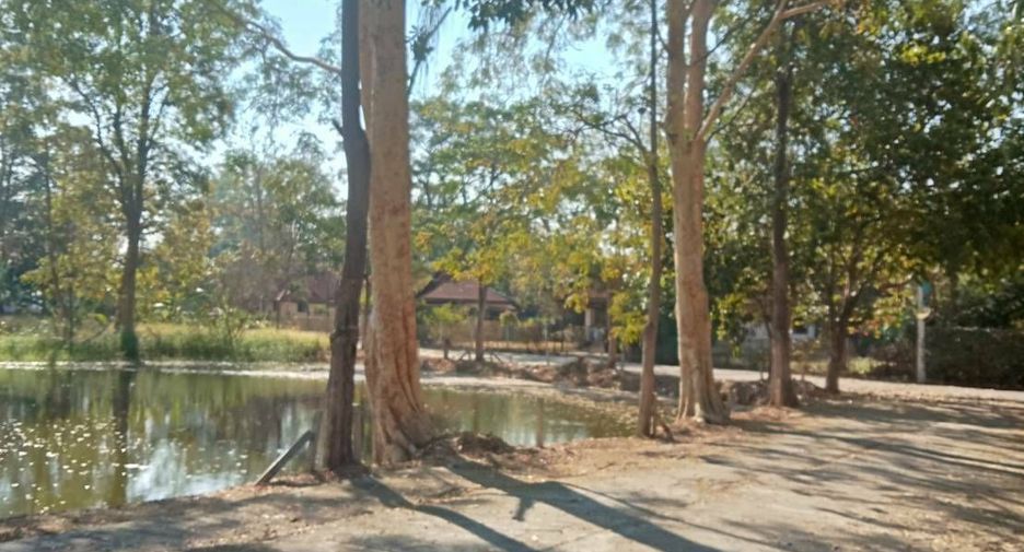 For rent 1 Beds house in Saraphi, Chiang Mai