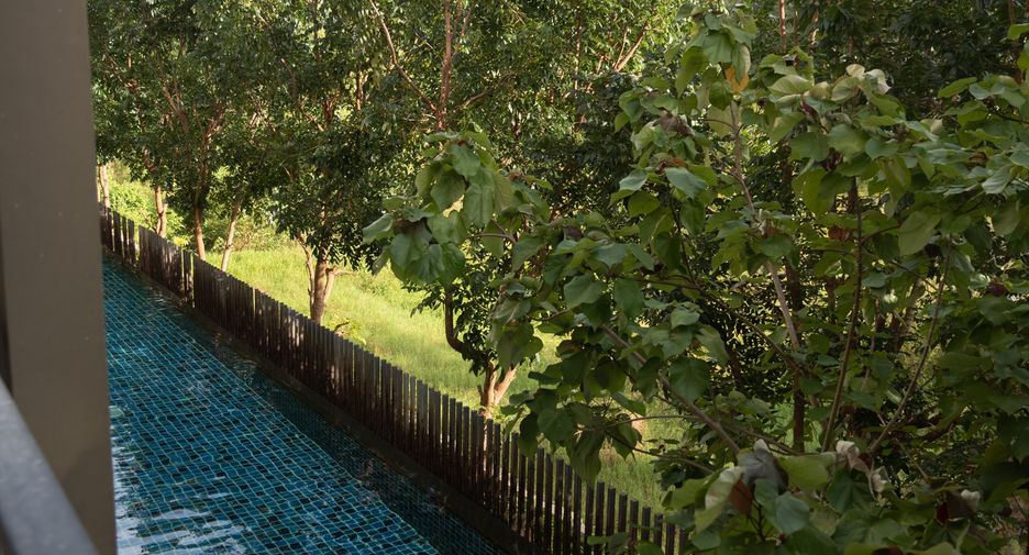 For rent 1 Beds condo in Thalang, Phuket