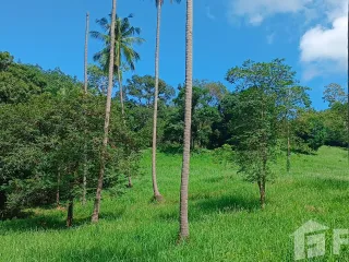 ขาย ที่ดิน ใน เกาะสมุย, สุราษฎร์ธานี