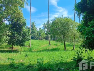 ขาย ที่ดิน ใน เกาะสมุย, สุราษฎร์ธานี