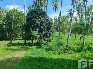 ขาย ที่ดิน ใน เกาะสมุย, สุราษฎร์ธานี