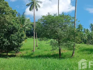 ขาย ที่ดิน ใน เกาะสมุย, สุราษฎร์ธานี