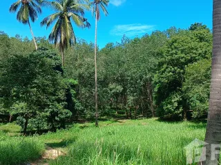 ขาย ที่ดิน ใน เกาะสมุย, สุราษฎร์ธานี