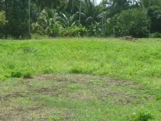 ขาย ที่ดิน ใน เกาะสมุย, สุราษฎร์ธานี