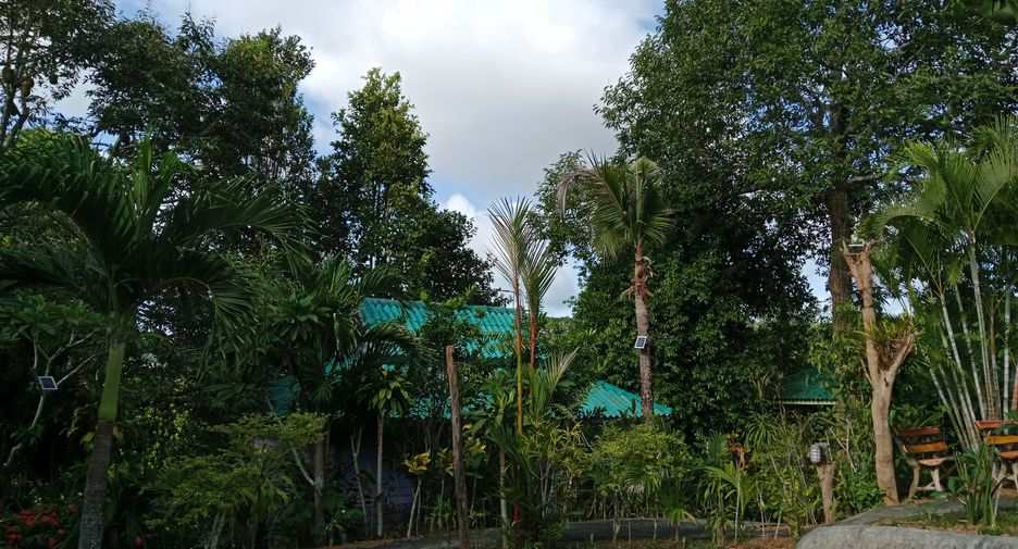 For sale and for rent 8 bedrooms hotel in Mueang Krabi, Krabi