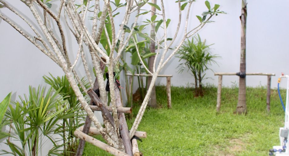 For sale and for rent 3 bedrooms villa in Ko Samui, Surat Thani