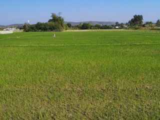 For sale land in Mae Taeng, Chiang Mai