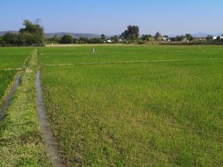 For sale land in Mae Taeng, Chiang Mai