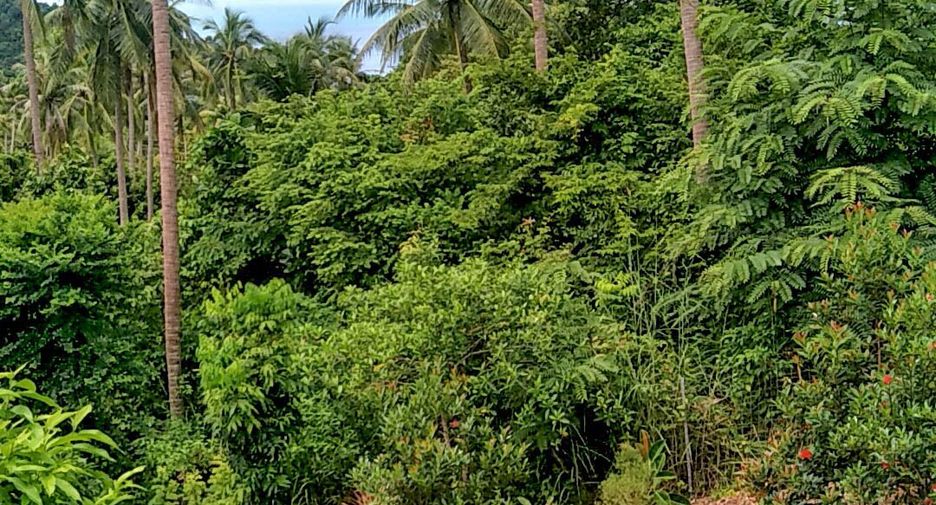 Продажа 3 спальни дом в Ko Pha-ngan, Сураттани