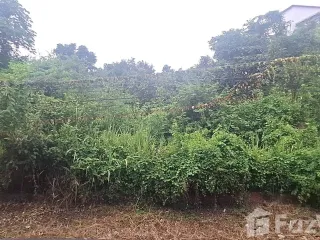 出售 土地 在 Hang Dong, Chiang Mai