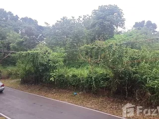 出售 土地 在 Hang Dong, Chiang Mai