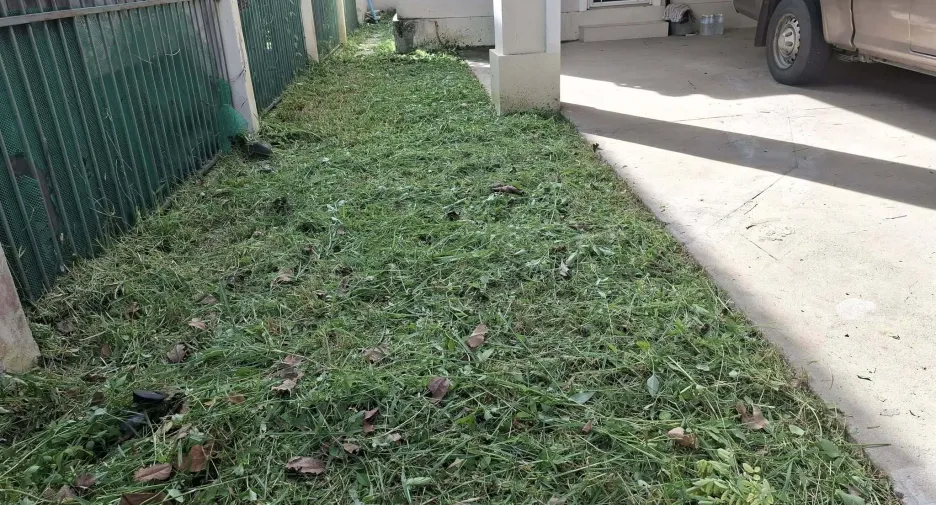 Haus zur Miete mit 5 Zimmer in San Kamphaeng, Chiang Mai