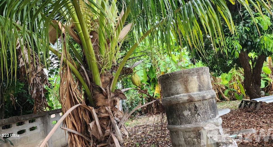 Terreno en venta en Mueang Chiang Mai, Chiang Mai