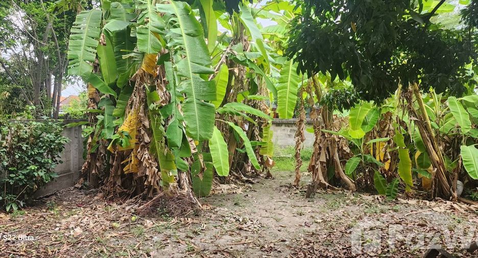For sale land in Mueang Chiang Mai, Chiang Mai