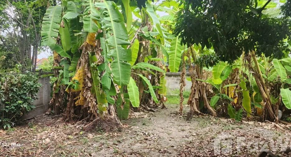 Terreno en venta en Mueang Chiang Mai, Chiang Mai