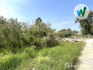 For sale land in Bang Yai, Nonthaburi