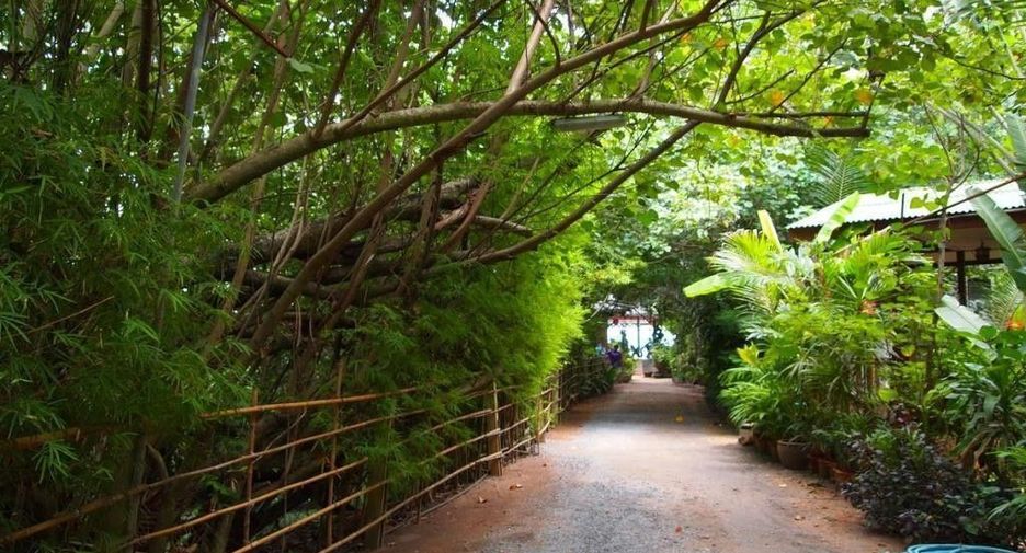 Terreno en venta en Ko Samui, Surat Thani