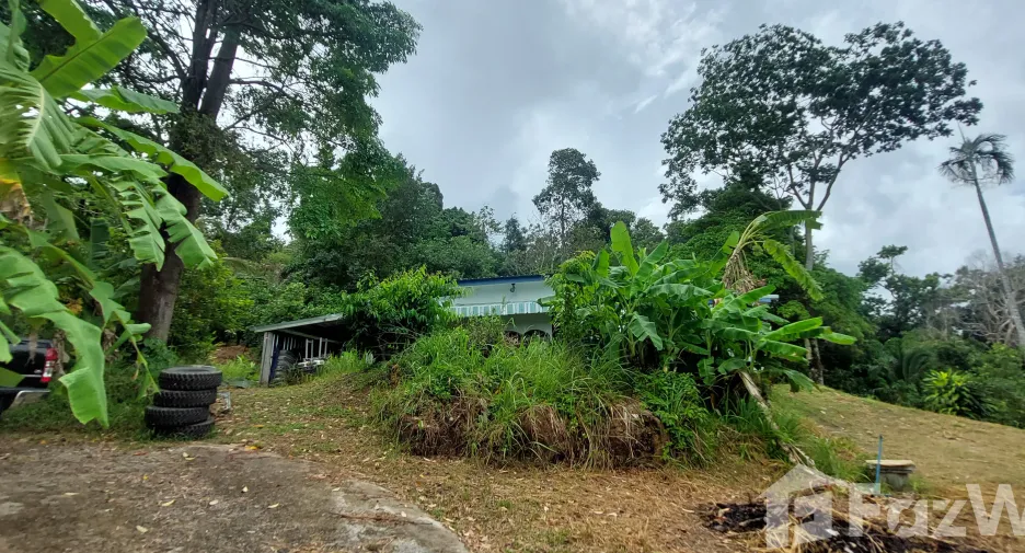 For rent 2 bedrooms house in Mueang Phuket, Phuket