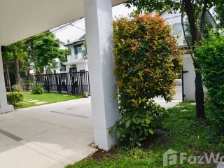 出售 和 出租 3 卧室 独立屋 在 Mueang Chiang Mai, Chiang Mai