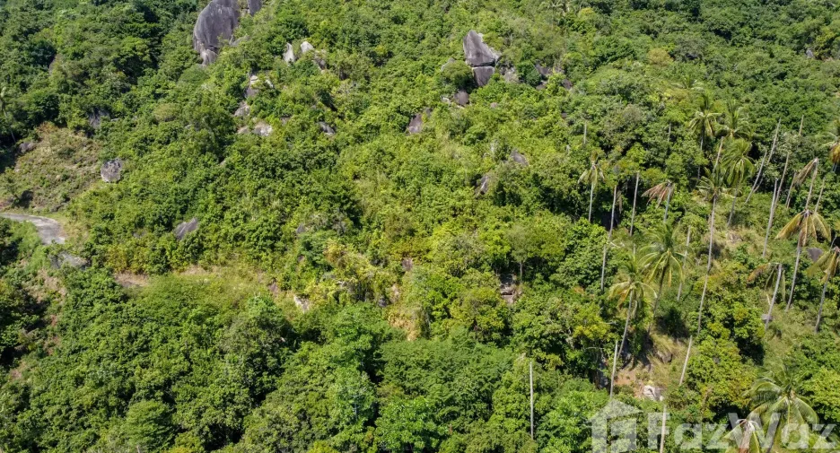 For sale land in Ko Samui, Surat Thani