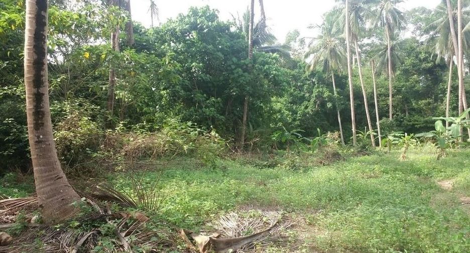 For sale land in Ko Samui, Surat Thani