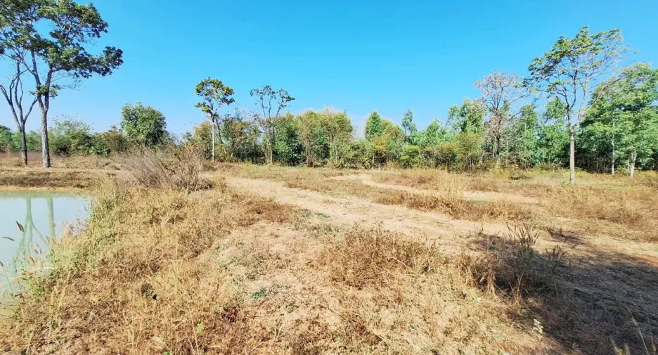 For sale 1 bed house in Phen, Udon Thani