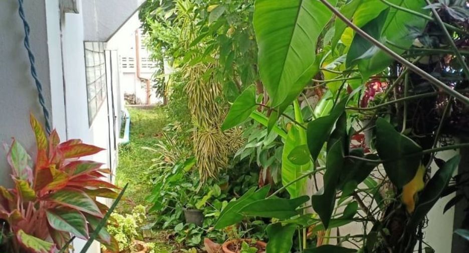 For sale 3 bedrooms retail Space in Mueang Chiang Mai, Chiang Mai