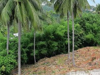 For sale land in Ko Samui, Surat Thani