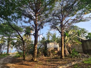 For sale land in Ko Samui, Surat Thani
