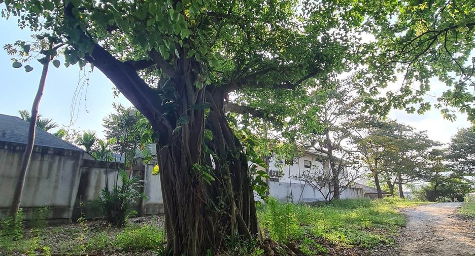 For sale land in Ko Samui, Surat Thani
