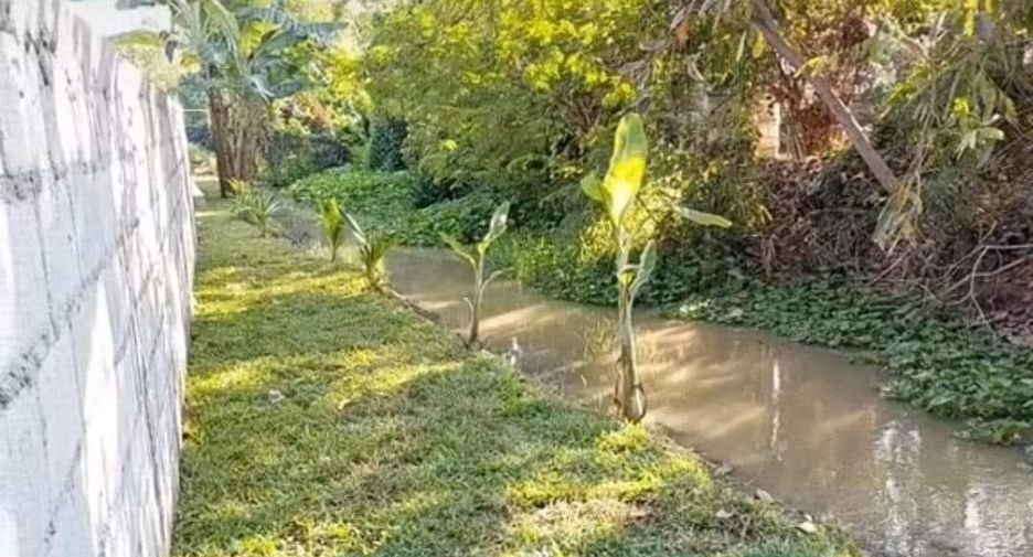For rent 3 bedrooms house in Saraphi, Chiang Mai